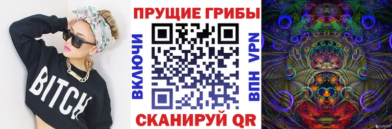 Купить закладки  Камызяк  Галлюциногенные грибы мухоморы 